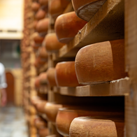A cheesemaker walking past rows of large cheese wheels ageing on wooden shelves in a stone cellar.