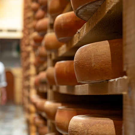 A cheesemaker walking past rows of large cheese wheels ageing on wooden shelves in a stone cellar.