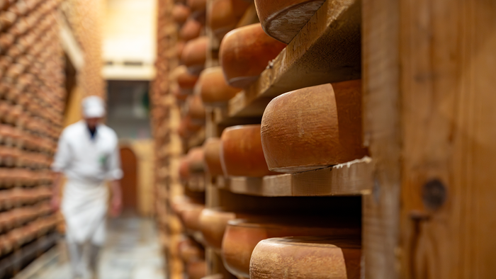 A cheesemaker walking past rows of large cheese wheels ageing on wooden shelves in a stone cellar.