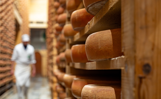 A cheesemaker walking past rows of large cheese wheels ageing on wooden shelves in a stone cellar.