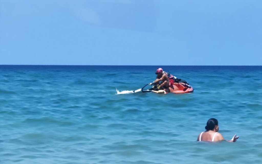 Shark surprises bathers on Galua beach in Murcia