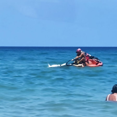 Coaxing the shark back out to sea