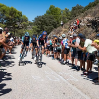 Cycling's biggest names racing through the Marina Alta