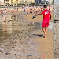 120 people stung in one day after jellyfish invasion