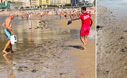 120 people stung in one day after jellyfish invasion