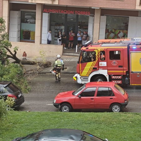Firefighters clear fallen trees after Granada earthquake.
