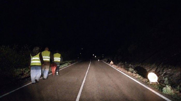 people walking on the road at night