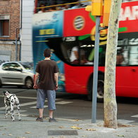 A man waiting for the bus.
