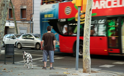 A man waiting for the bus.