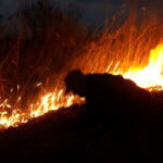 Caught red-handed: Man caught starting a fire while firefighters battled nearby blazes