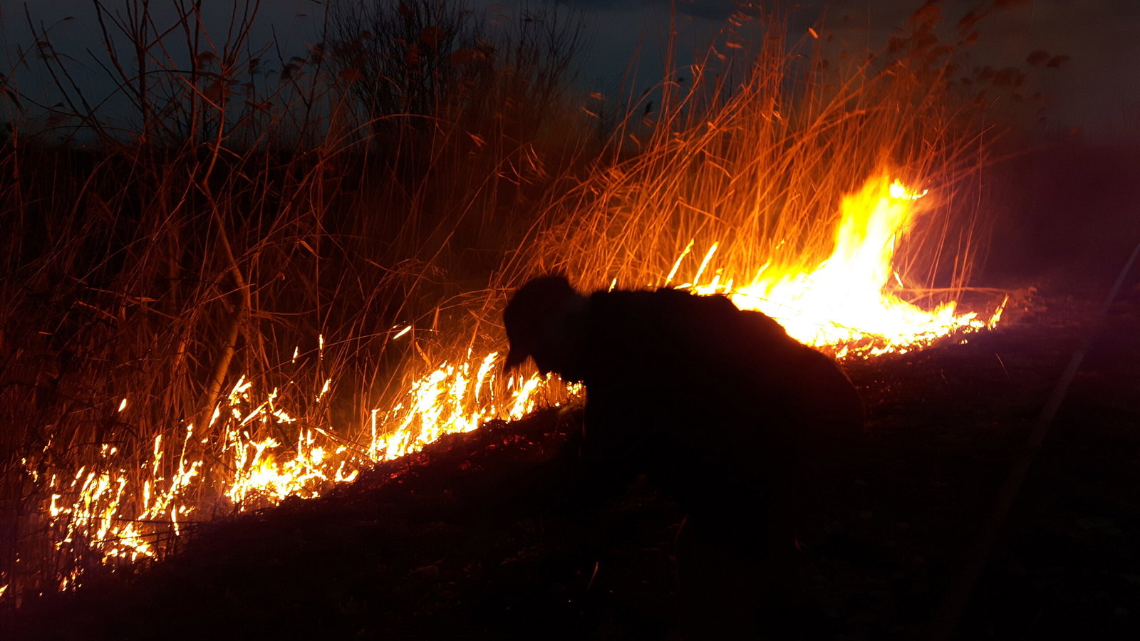 Caught red-handed: Man caught starting a fire while firefighters battled nearby blazes