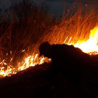 silhouette of a man next to burning shrubs and dry grasses