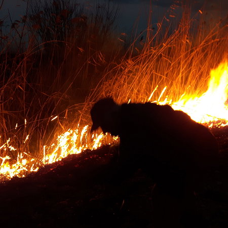 silhouette of a man next to burning shrubs and dry grasses