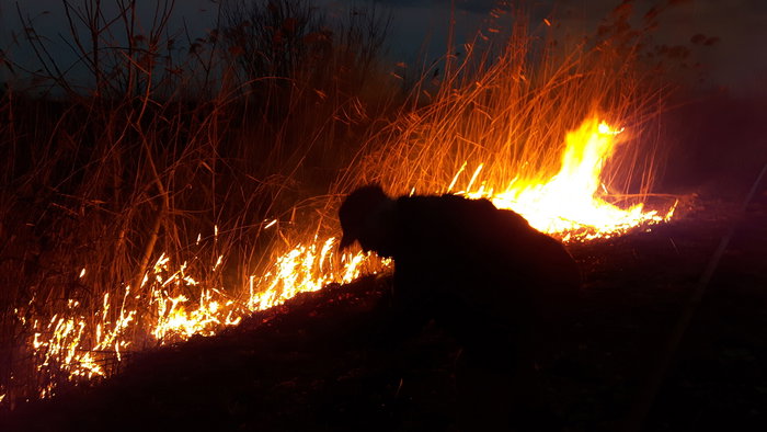 silhouette of a man next to burning shrubs and dry grasses