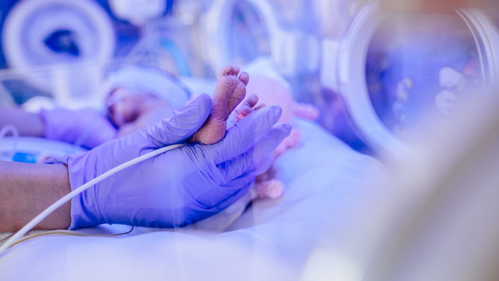 Macro photo of doctors hands and legs of a premature baby .