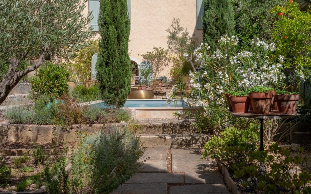 Friend or foe in a Spanish garden: What to keep and what to say ‘adios’ to