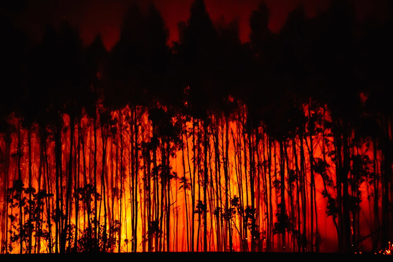 Conato de incendio deliberado provoca la evacuación de 700 personas en el oeste de España