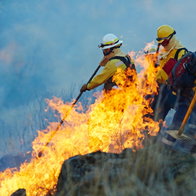 Smoke, forest and firefighter team with disaster management, emergency and damage control in bush. Mountain, flame and people help with fire rescue, volunteer service or safety in nature conservation