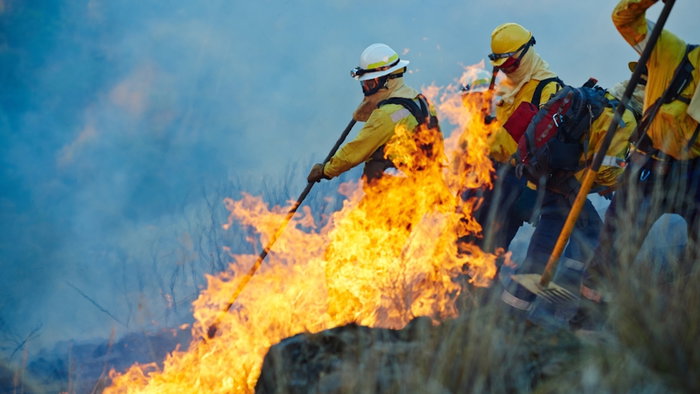Smoke, forest and firefighter team with disaster management, emergency and damage control in bush. Mountain, flame and people help with fire rescue, volunteer service or safety in nature conservation