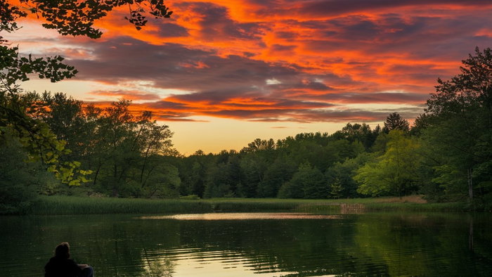 Sunset view over lake.