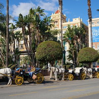 Horse carriages at Plaza de La Marina in Spain.