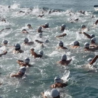 Motril Port's annual swimming race.