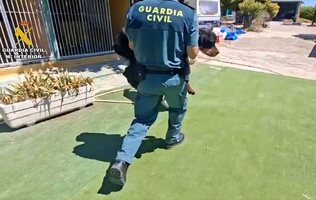 46 Hunde aus Madrider Hundepension beschlagnahmt, nachdem ein Hund tot ...