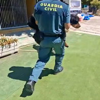 Guardia Civil seize mistreated dogs.