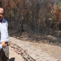 New forest law could pay landowners to protect Valencia’s countryside and prevent wildfires