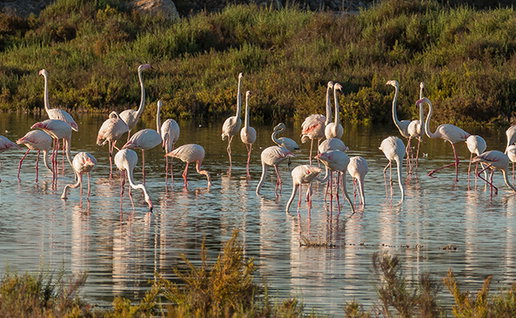 Costa Blanca summer 2026 ends with tourism records, beach awards and visitor boom.