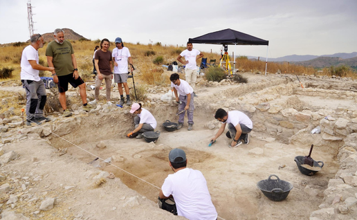 The site.