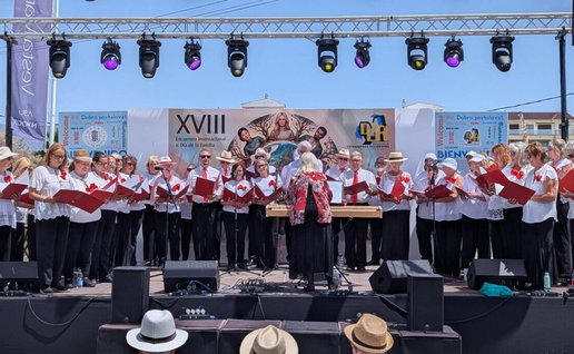 Love to Sing International community choir.