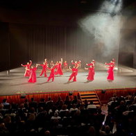 The flamenco performance.