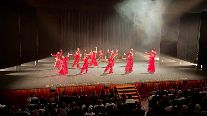 The flamenco performance.