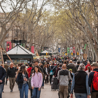 Pedestrians walking along a busy, tree-lined street in Barcelona.