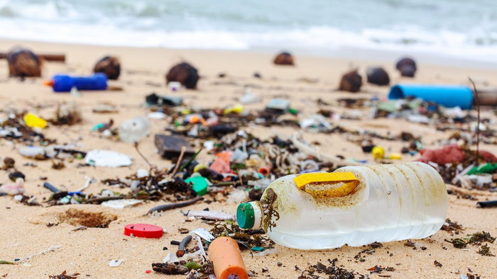 Beach rubbish