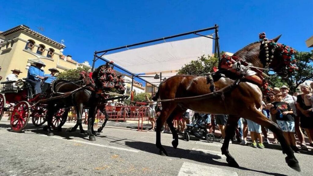 Horses fill Fuengirola’s streets, welcoming everyone for a day full of tradition
