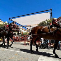 Fuengirola a cabello