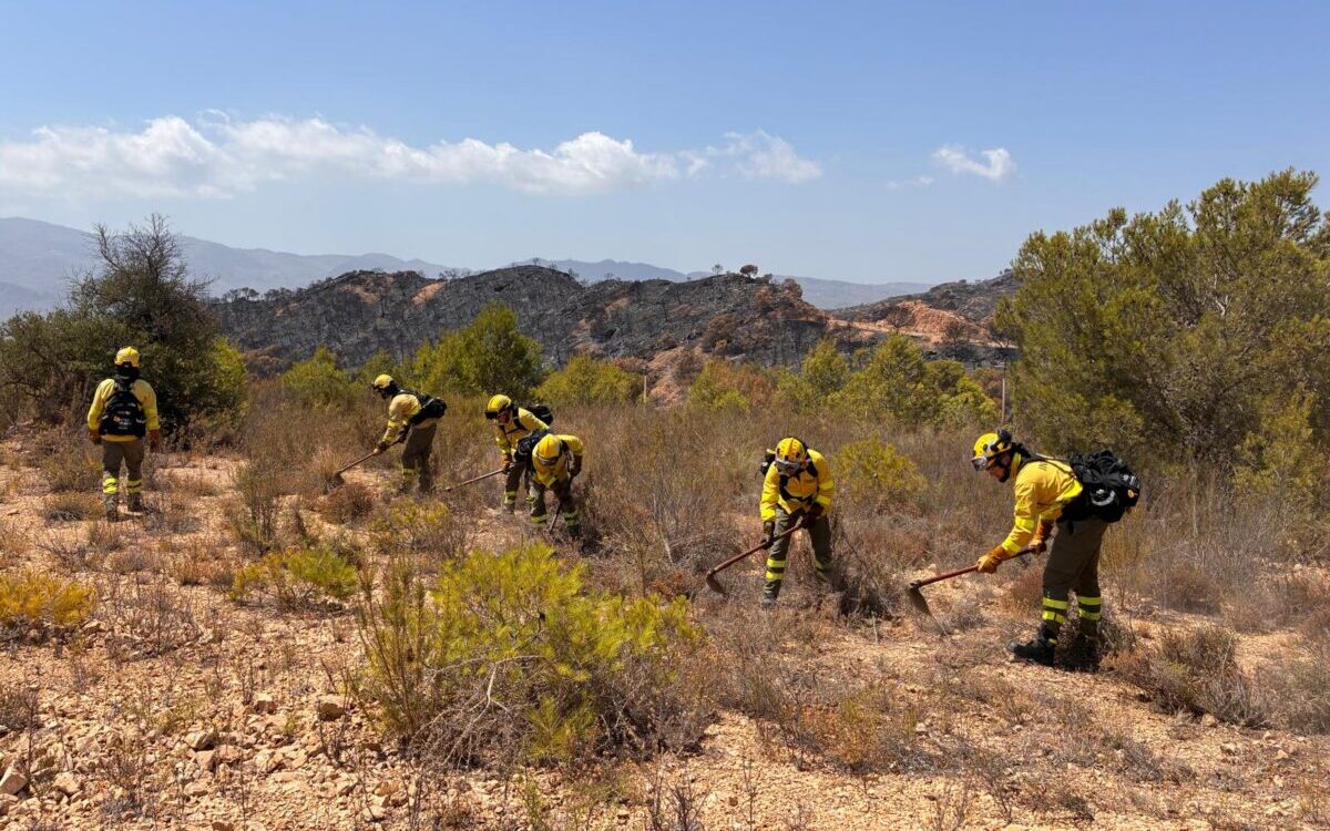 Waldbrand in Igualeja unter Kontrolle gebracht: Erster Herbstregen in ...