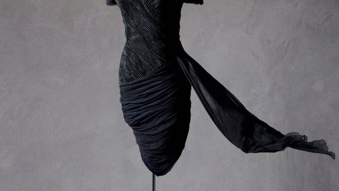 Princess Diana's "revenge dress" up for auction.
