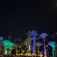 Elche.
