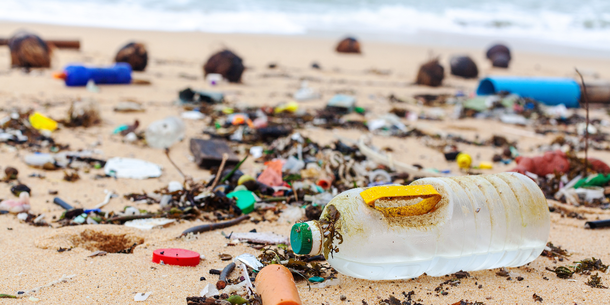 Mallorca beach clean-up