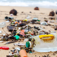 Mallorca beach clean-up invites families to make a difference in Cala Major