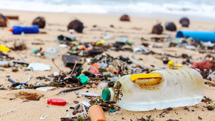 Mallorca beach clean-up invites families to make a difference in Cala Major