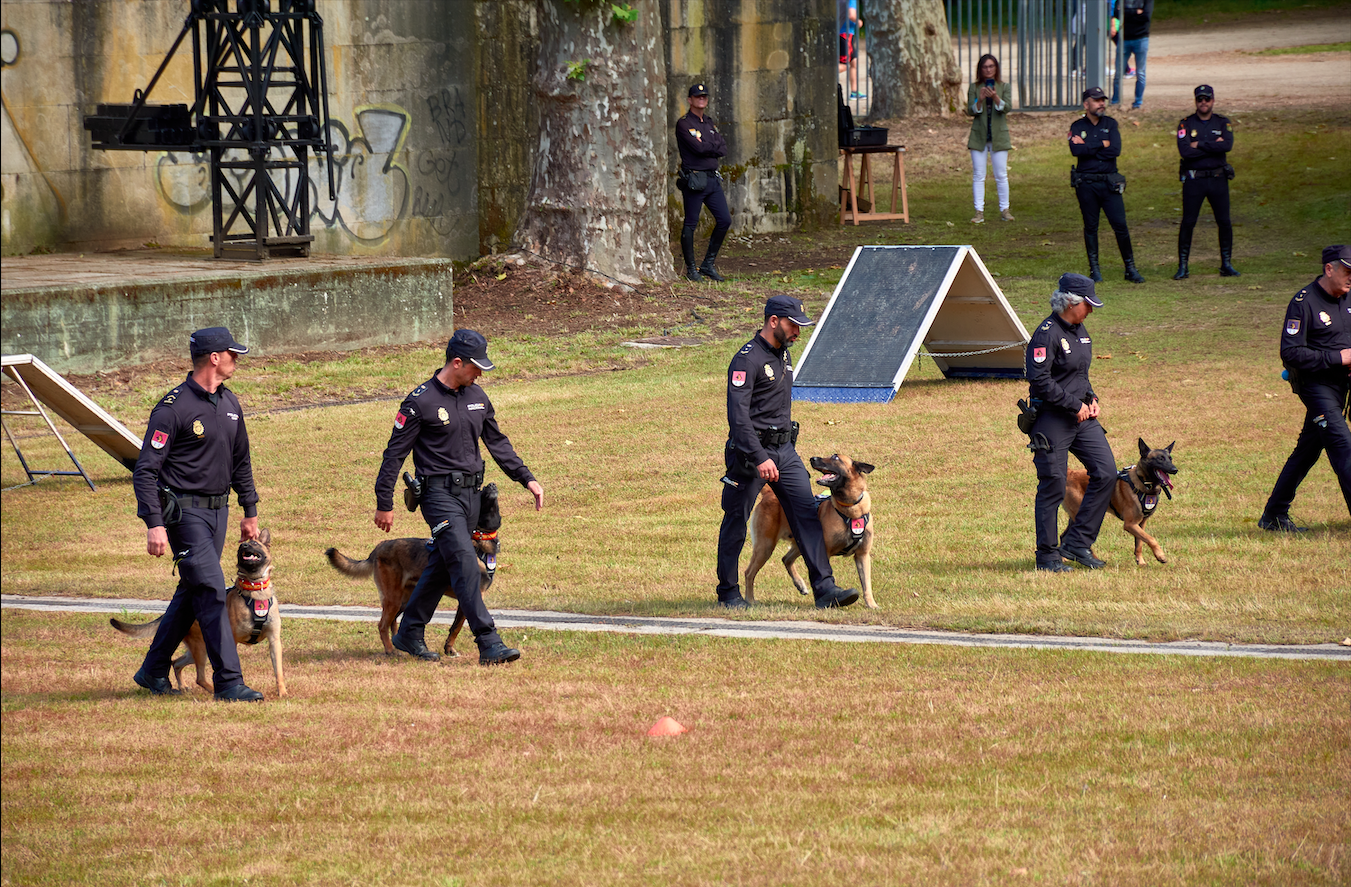 Police seek new home for 22 dogs after years of Algeciras noise complaints