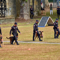 Police officers with their dogs by their sides during an exercise demonstration