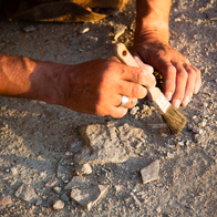 An archaeologist with a brush on dry dusty terrain discovering old bones