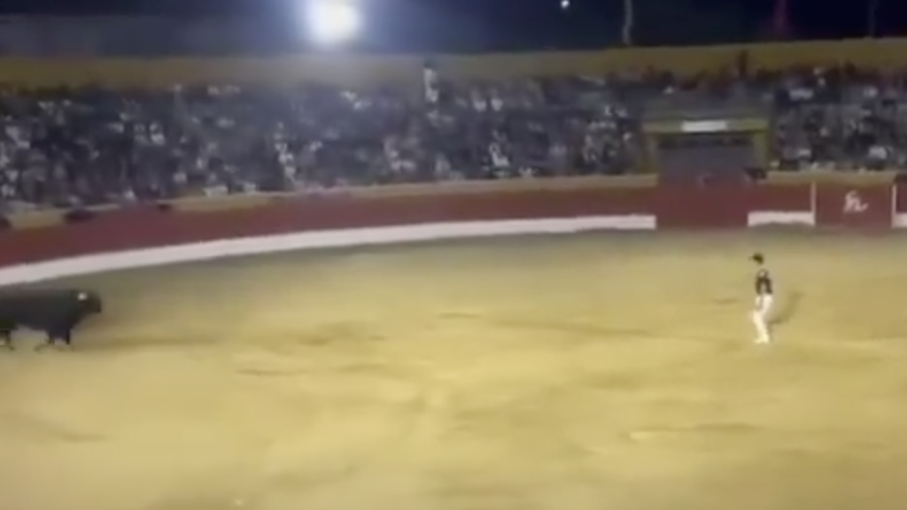 WATCH: Horror as bull charges performer at exact moment Spanish bullring plunges into darkness