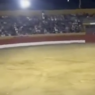 Video still of a bull and a performer inside a darkened Spanish bullring, lit by a single floodlight, with spectators visible in the stands.