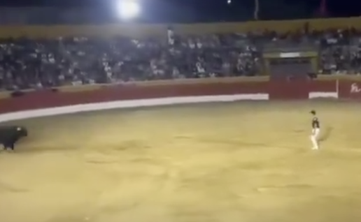 Video still of a bull and a performer inside a darkened Spanish bullring, lit by a single floodlight, with spectators visible in the stands.